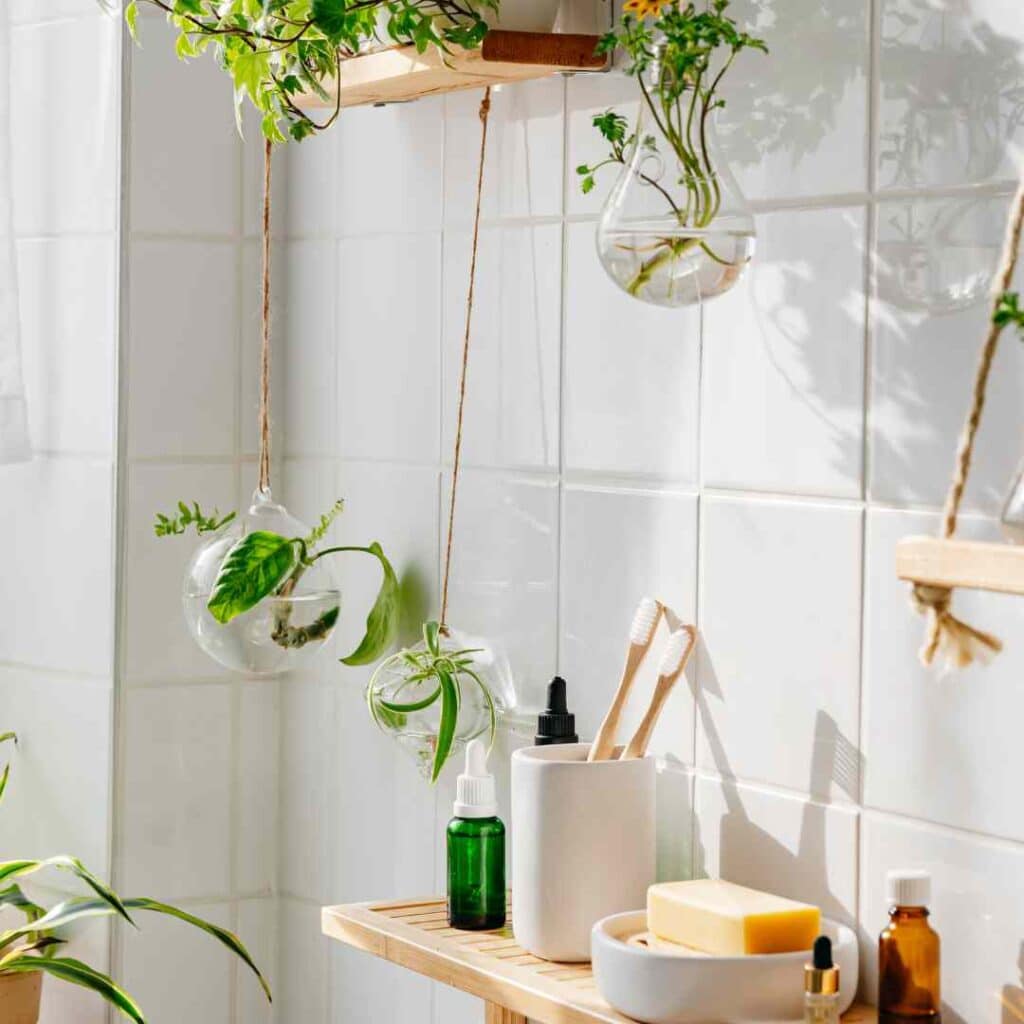 Plants hanging in an eco-friendly bathroom